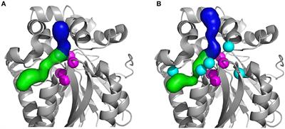 Computational Study of Protein-Ligand Unbinding for Enzyme Engineering